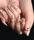 Half Tiger French Tips