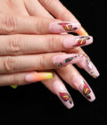 Flutter Butterfly Set - Image 2